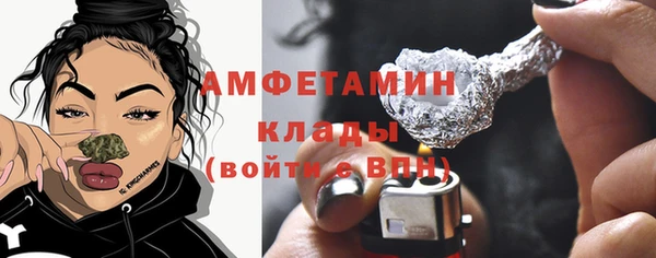 гашик Новозыбков