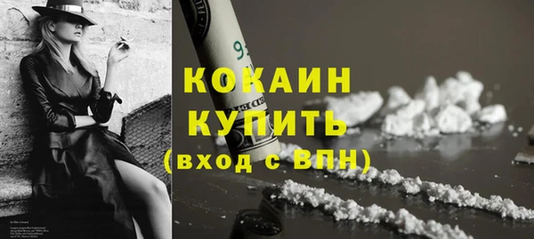 гашик Новозыбков