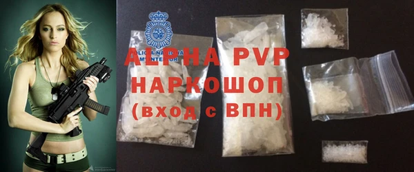 гашик Новозыбков