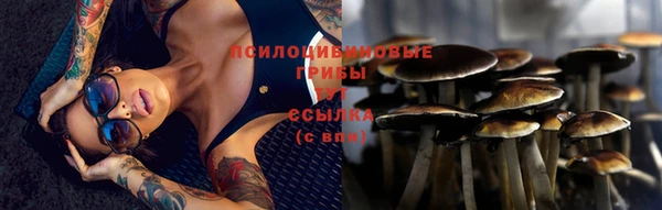 первитин Нея