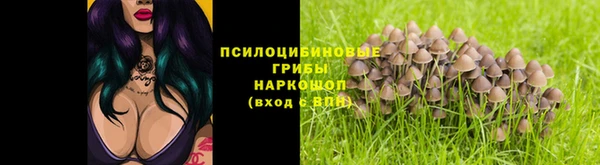 первитин Нея