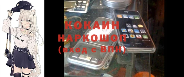 гашик Новокубанск