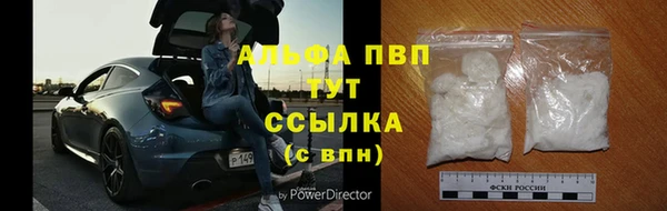 гашик Новозыбков