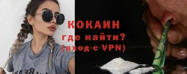 гашик Новозыбков