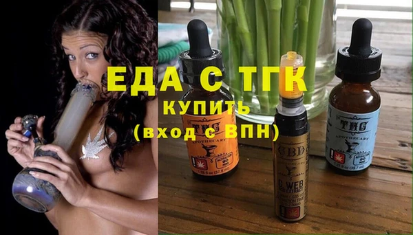 гашик Новозыбков