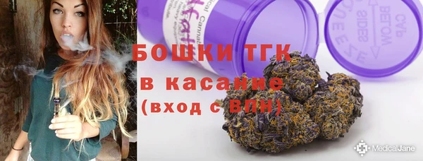 гашик Новозыбков