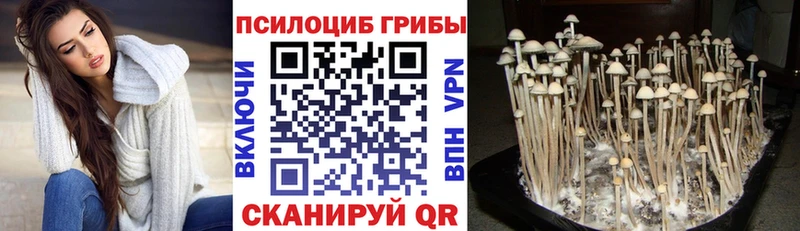 Псилоцибиновые грибы ЛСД  blacksprut ССЫЛКА  Лангепас 